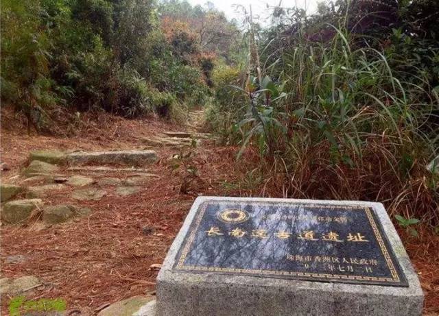 桃花村结局?南江到深圳有多少公里-图3 桃花村结局?南江到深圳有多少公里-图3