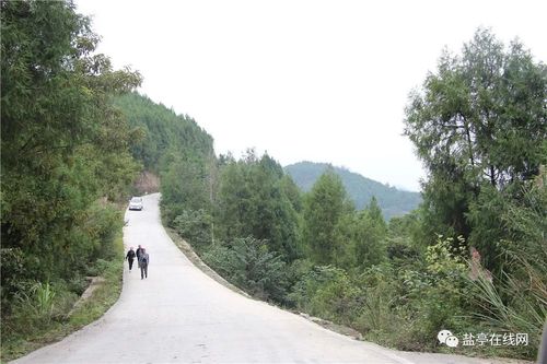 乡镇高中有哪些?盐亭高灯镇到成都多少公里-图2 乡镇高中有哪些?盐亭高灯镇到成都多少公里-图2