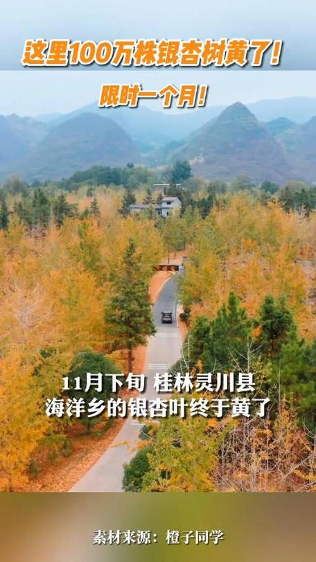 桂林有海湾加油站吗?灵川县到海洋乡有多少公里-图3 桂林有海湾加油站吗?灵川县到海洋乡有多少公里-图3