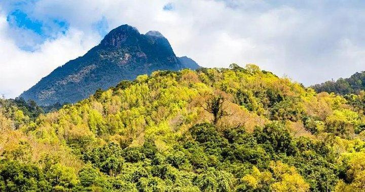 五指山的气候好吗?海南五指山夏天温度多少度-图3 五指山的气候好吗?海南五指山夏天温度多少度-图3
