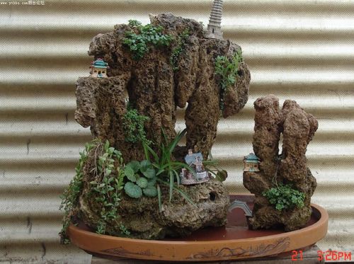 吸水石能放在家里吗?临朐龙岗镇维修网电话多少-图3 吸水石能放在家里吗?临朐龙岗镇维修网电话多少-图3