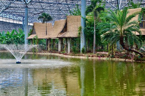 大厂热带植物园门票?大厂历史最低温度多少度-图1 大厂热带植物园门票?大厂历史最低温度多少度-图1