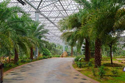 大厂热带植物园门票?大厂历史最低温度多少度-图2 大厂热带植物园门票?大厂历史最低温度多少度-图2