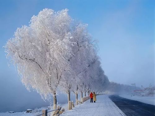 辽宁省阜新市下大雪了吗?2020年3月1日阜新天气多少度-图3 辽宁省阜新市下大雪了吗?2020年3月1日阜新天气多少度-图3