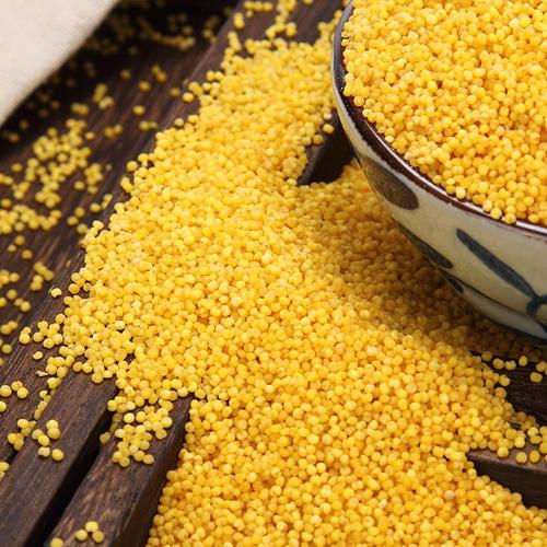 山西小米每年什么时候成熟?沁水黄小米多少钱-图3 山西小米每年什么时候成熟?沁水黄小米多少钱-图3
