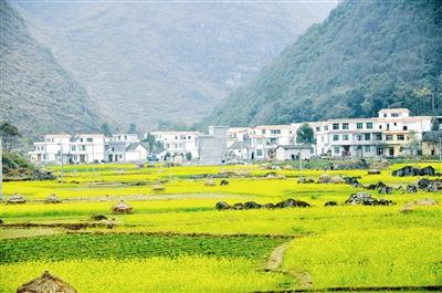 广西河池罗富乡有几个村?天峨到吾隘多少公里-图3 广西河池罗富乡有几个村?天峨到吾隘多少公里-图3