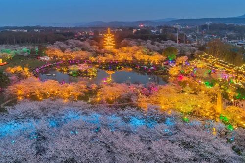 武汉赏花时间表一览?武汉市的春夏秋冬各有多少天-图1 武汉赏花时间表一览?武汉市的春夏秋冬各有多少天-图1