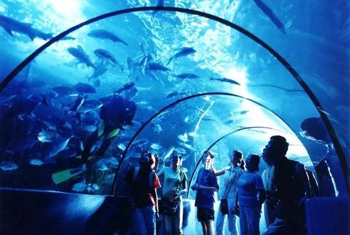 夏天去海洋馆热吗?现在海洋馆里温度是多少-图1 夏天去海洋馆热吗?现在海洋馆里温度是多少-图1