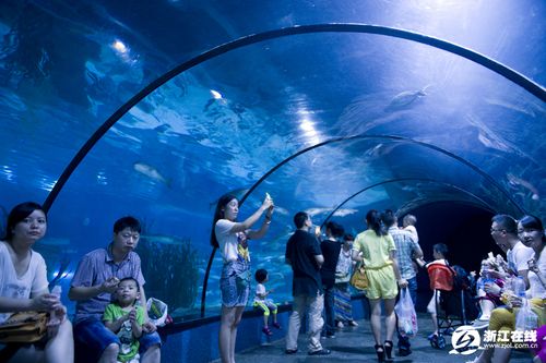 夏天去海洋馆热吗?现在海洋馆里温度是多少-图2 夏天去海洋馆热吗?现在海洋馆里温度是多少-图2