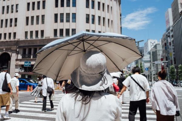 急~~~日本京都四季气候怎么样?东京最冷温度多少度-图3 急~~~日本京都四季气候怎么样?东京最冷温度多少度-图3