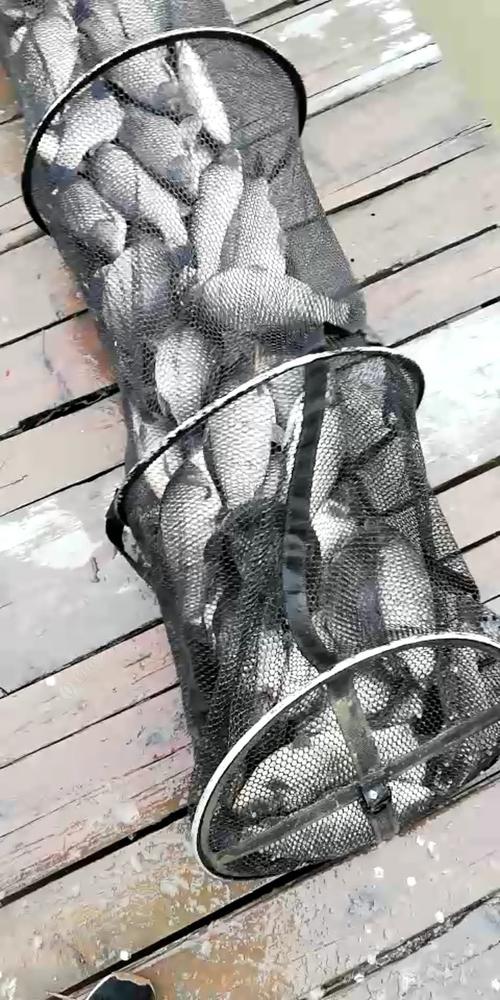 什么叫爆护?大丰气压是多少-图1 什么叫爆护?大丰气压是多少-图1