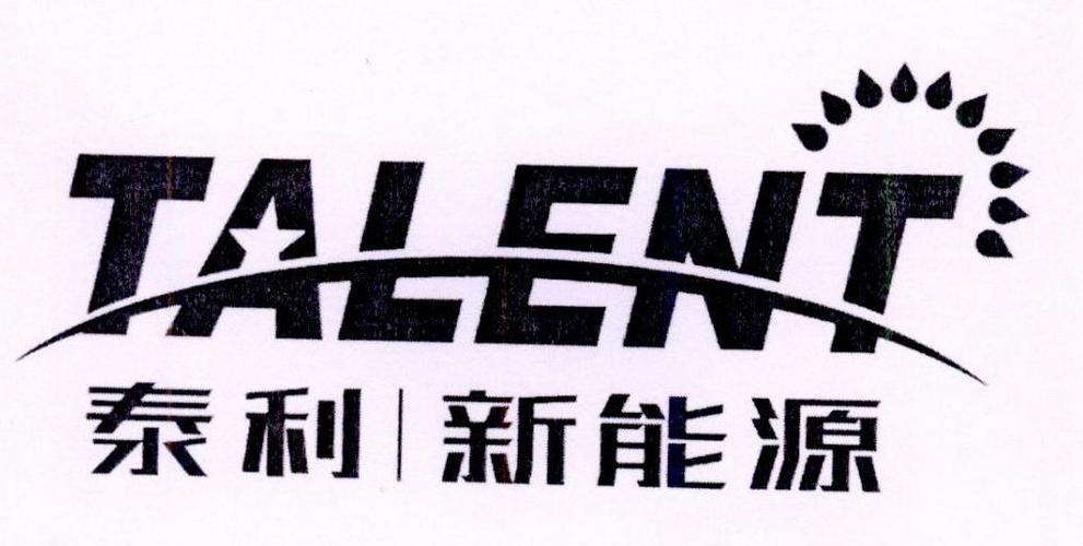 江西尊创泰利新能源有限公司?德兴香屯有多少工厂-图1 江西尊创泰利新能源有限公司?德兴香屯有多少工厂-图1
