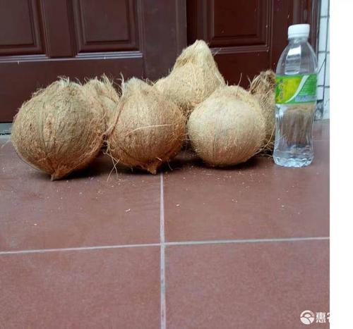 椰子能通过快递邮过来吗?4天左右?大麻 多少天-图2 椰子能通过快递邮过来吗?4天左右?大麻 多少天-图2