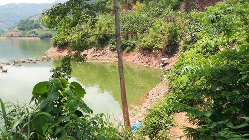 云南野钓排名太阳山镇多少人口-图1 云南野钓排名太阳山镇多少人口-图1
