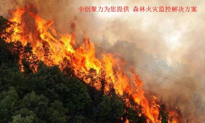 森林失火属于火警吗?森林火警号码是多少-图3 森林失火属于火警吗?森林火警号码是多少-图3