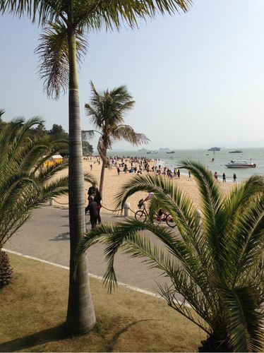 3月份去厦门旅游要穿什么样子的衣服?3月份厦门气温多少-图3 3月份去厦门旅游要穿什么样子的衣服?3月份厦门气温多少-图3