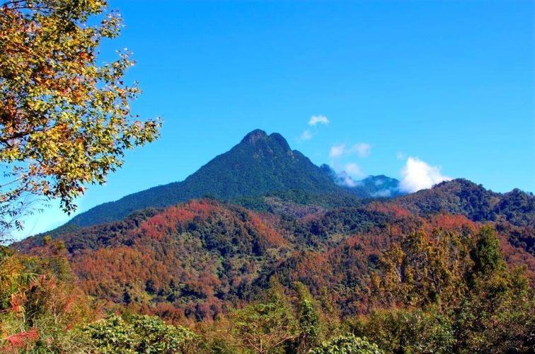 五指山夏天热吗?海南五指山气温多少度-图2 五指山夏天热吗?海南五指山气温多少度-图2