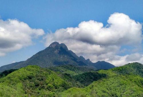 五指山夏天热吗?海南五指山气温多少度-图1 五指山夏天热吗?海南五指山气温多少度-图1