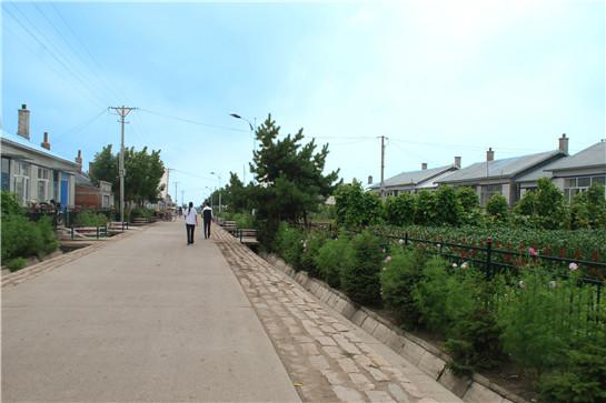 黑龙江省绥化市绥棱县绥中乡绥中村邮编是什么?绥棱镇有多少个村-图2 黑龙江省绥化市绥棱县绥中乡绥中村邮编是什么?绥棱镇有多少个村-图2