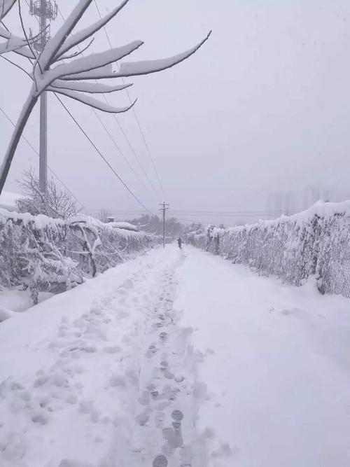 苏州什么时候下雪啊?合肥下雪多少cm-图3 苏州什么时候下雪啊?合肥下雪多少cm-图3