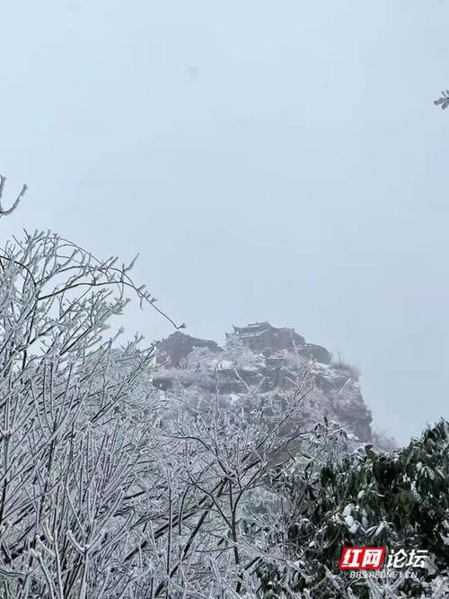 中国南方哪里会下雪?常德去年最冷是多少度-图1 中国南方哪里会下雪?常德去年最冷是多少度-图1