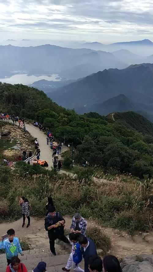 梧桐山,海拔?梧桐山多少度-图1 梧桐山,海拔?梧桐山多少度-图1