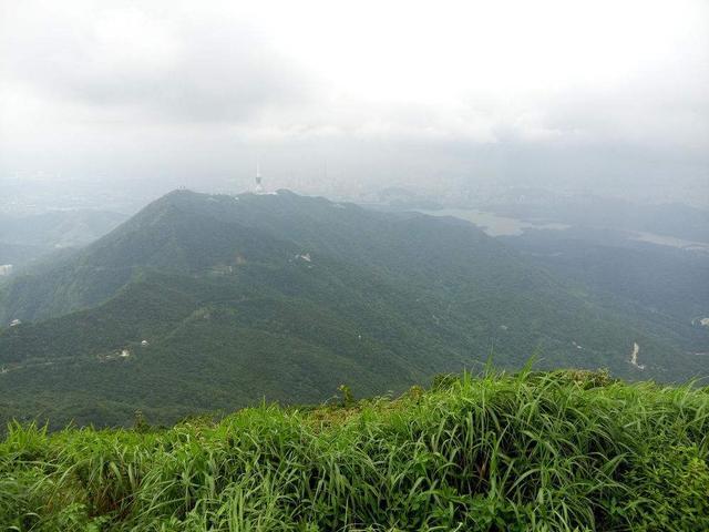 香港最高的山叫什么山？海拔多少？梧桐山顶气温多多少-图2