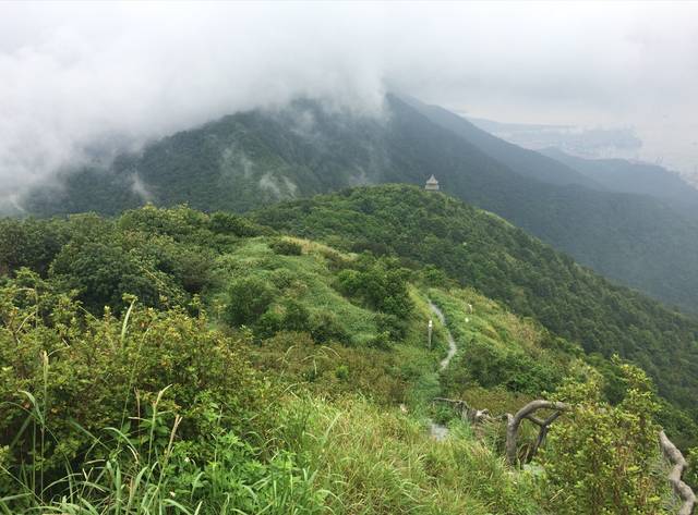 梧桐山,海拔?梧桐山多少度-图2 梧桐山,海拔?梧桐山多少度-图2
