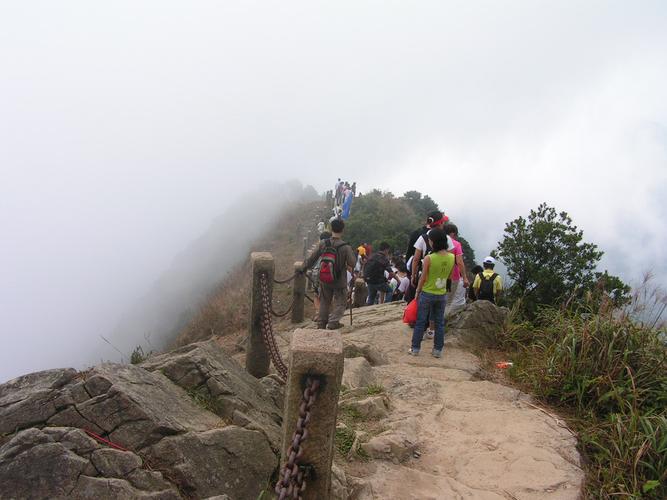 梧桐山,海拔?梧桐山多少度-图3 梧桐山,海拔?梧桐山多少度-图3