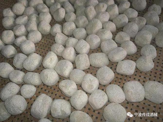 如何保存干香菇?浠水年平均湿度是多少-图2 如何保存干香菇?浠水年平均湿度是多少-图2