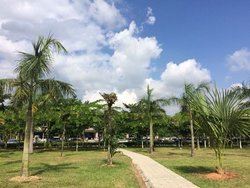 云南西双版纳夏天温度一般多少?景洪市夏天温度多少-图3 云南西双版纳夏天温度一般多少?景洪市夏天温度多少-图3