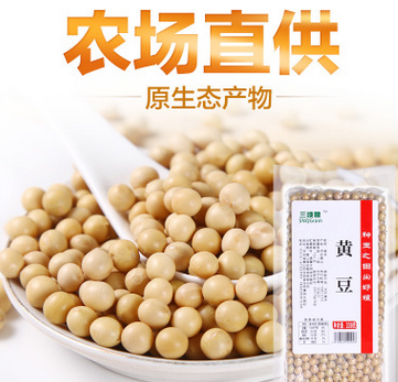 唐山地区黄豆种植时间?4月温度一般是多少唐山-图2 唐山地区黄豆种植时间?4月温度一般是多少唐山-图2