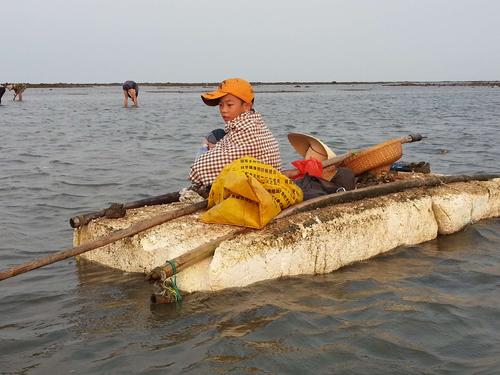 徐闻8月份可以赶海吗?徐闻夏天最热多少度-图1 徐闻8月份可以赶海吗?徐闻夏天最热多少度-图1