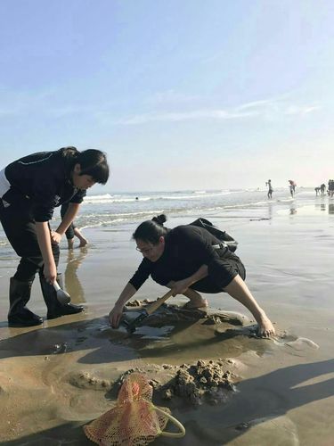 徐闻8月份可以赶海吗?徐闻夏天最热多少度-图3 徐闻8月份可以赶海吗?徐闻夏天最热多少度-图3
