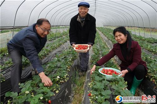 隆回有什么好吃的?隆回到雨山铺镇多少钱-图1 隆回有什么好吃的?隆回到雨山铺镇多少钱-图1