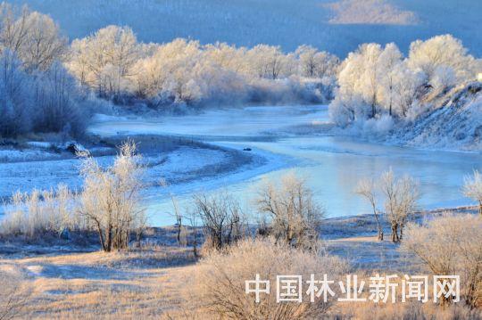 根河值得去吗?根河最低温度多少-图3 根河值得去吗?根河最低温度多少-图3