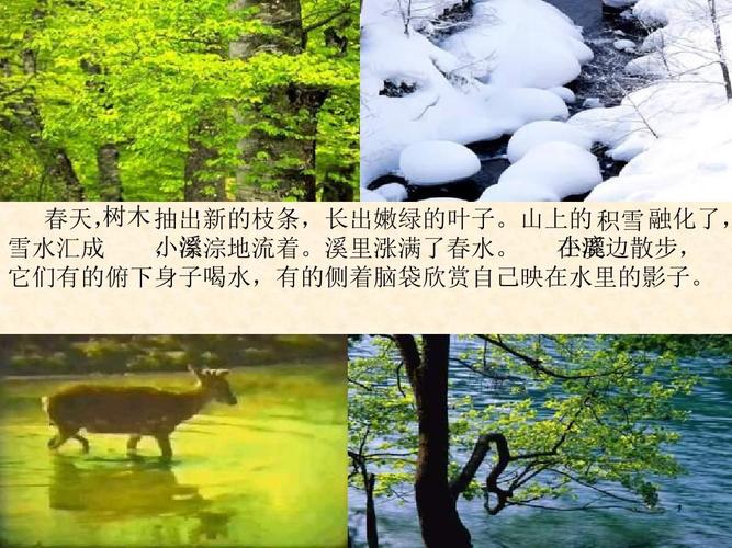 形容小兴安岭春天的词语?小兴安岭的天气多少度-图3 形容小兴安岭春天的词语?小兴安岭的天气多少度-图3