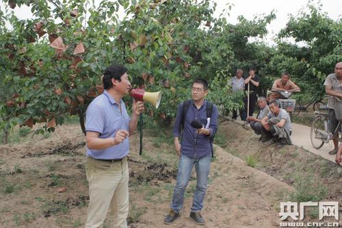 河北辛集好吗?辛集苹果7现在多少钱-图3 河北辛集好吗?辛集苹果7现在多少钱-图3