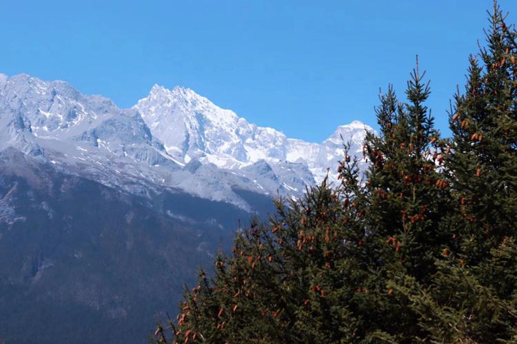 云南雪山多少度?云南雪山多少度-图2 云南雪山多少度?云南雪山多少度-图2