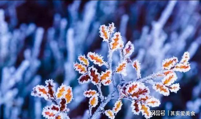 下霜的温度是多少?气温多少度会下霜-图2 下霜的温度是多少?气温多少度会下霜-图2