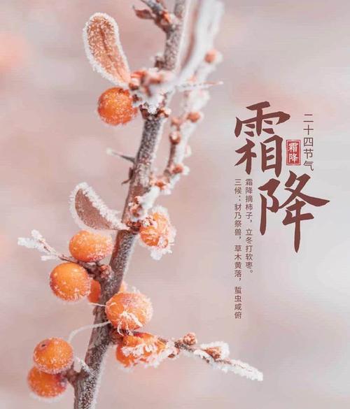 霜降一般要什么温度?气温多少可产生霜降-图3 霜降一般要什么温度?气温多少可产生霜降-图3