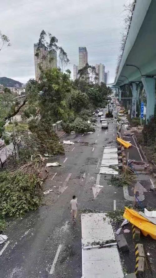 莫兰蒂是哪一年登陆厦门？厦门一年有多少台风-图1