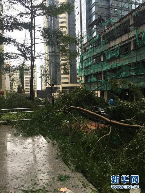 莫兰蒂是哪一年登陆厦门？厦门一年有多少台风-图2