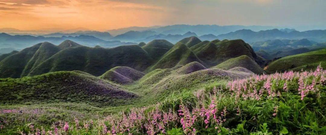 太阳坪景区门票是多少?遵义洪关乡海拨多少米-图1 太阳坪景区门票是多少?遵义洪关乡海拨多少米-图1