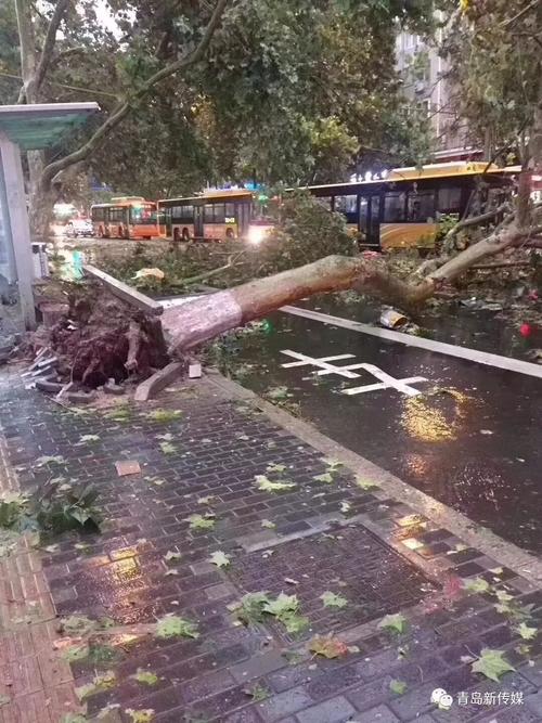 21年6月21四川下雨了吗?15日绵阳大风多少级-图1 21年6月21四川下雨了吗?15日绵阳大风多少级-图1