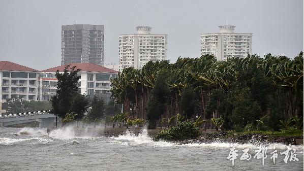 15年湛江彩虹多少级?2015年有多少个台风-图2 15年湛江彩虹多少级?2015年有多少个台风-图2