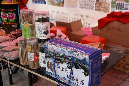 松潘松茸和小金松茸有什么区别?阿坝州松番多少度-图1 松潘松茸和小金松茸有什么区别?阿坝州松番多少度-图1