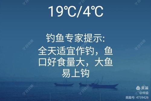 温度多少适合钓鱼?多少度天气适合钓鱼-图2 温度多少适合钓鱼?多少度天气适合钓鱼-图2