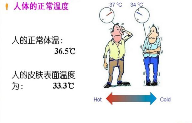 人体感觉最舒适的温度?多少温度舒适-图2 人体感觉最舒适的温度?多少温度舒适-图2