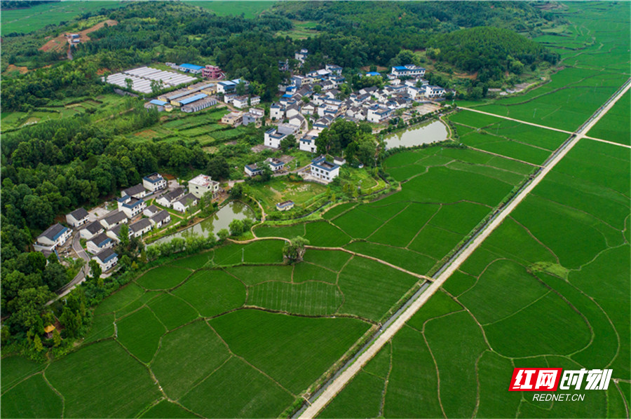 桂阳县有几个乡镇、各自的赶集日又是几号?桂阳县华泉乡多少个村-图3 桂阳县有几个乡镇、各自的赶集日又是几号?桂阳县华泉乡多少个村-图3